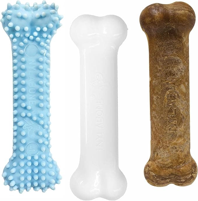 Nylabone Starter Kit