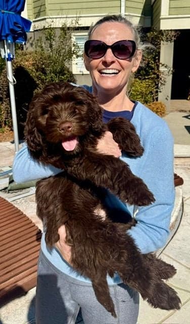 A happy chocolate Australian Labradoodle and their owner from Tarheel Labradoodles