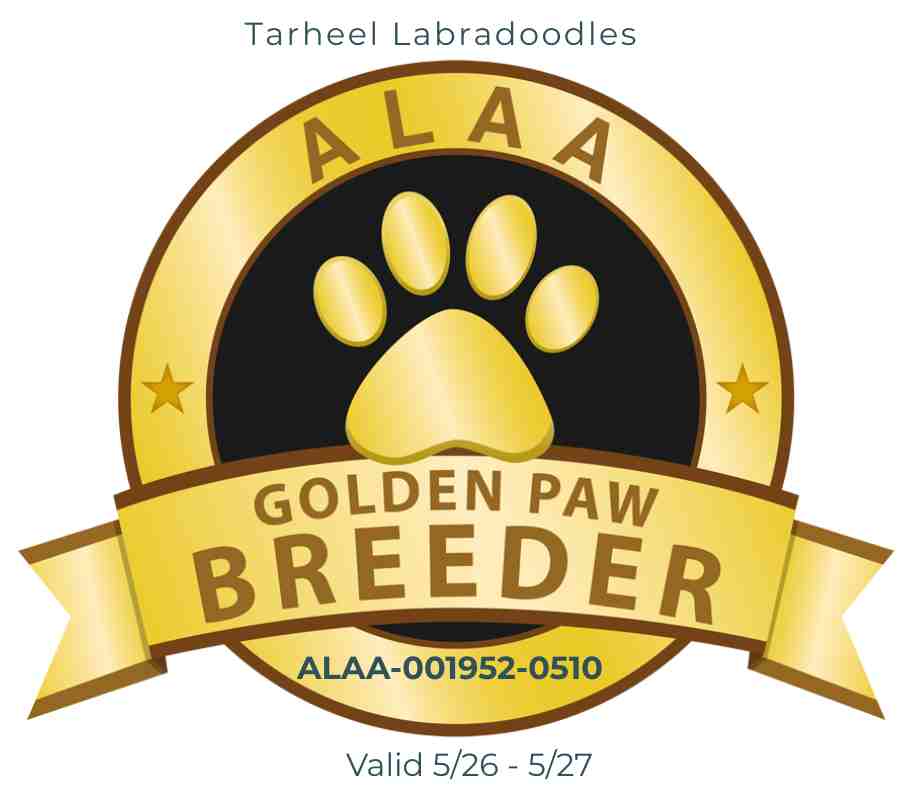ALAA Gold Paw Breeder