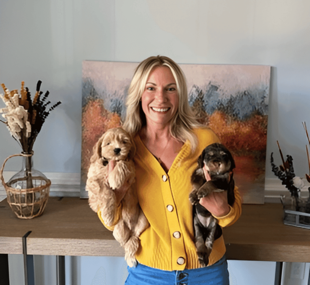 Puppies playing in home