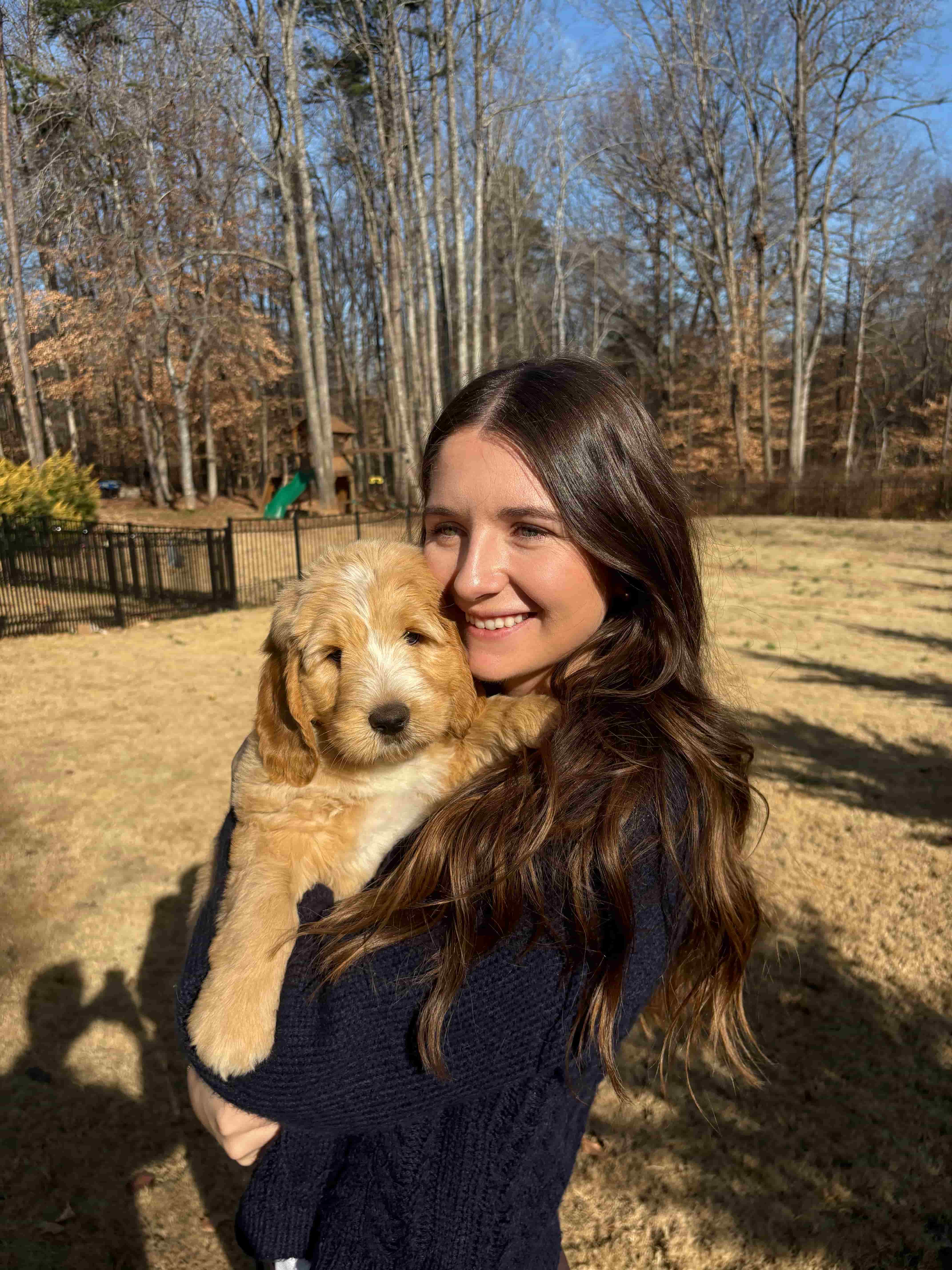 Happy labradoodle outside, Australian Labradoodles from Tarheel Labradoodles of Troutman, North Carolina, a high-quality ALAA backed and ALAA-President ran Australian Labradoodle breeder.