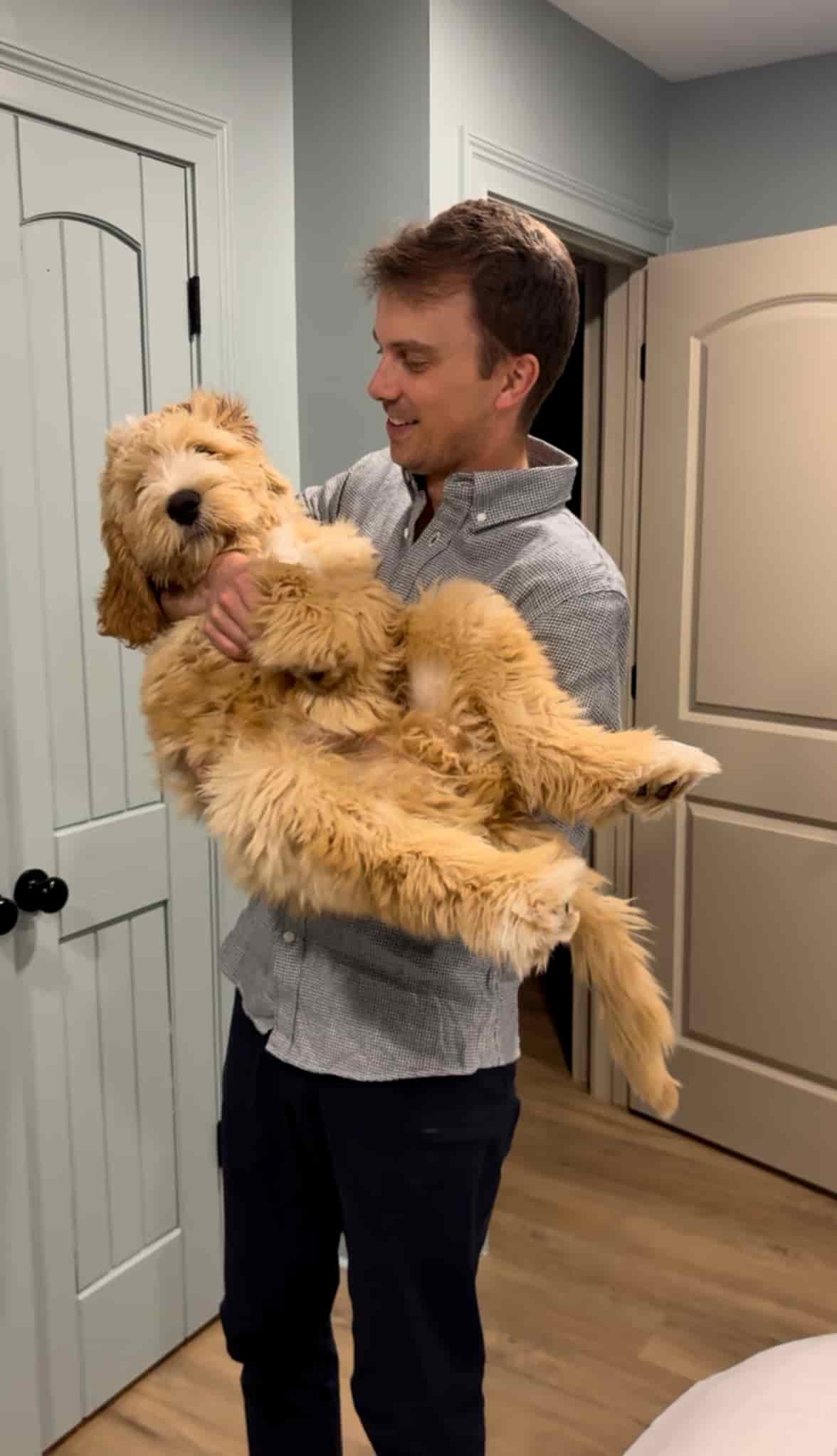 Puppy cuddles
