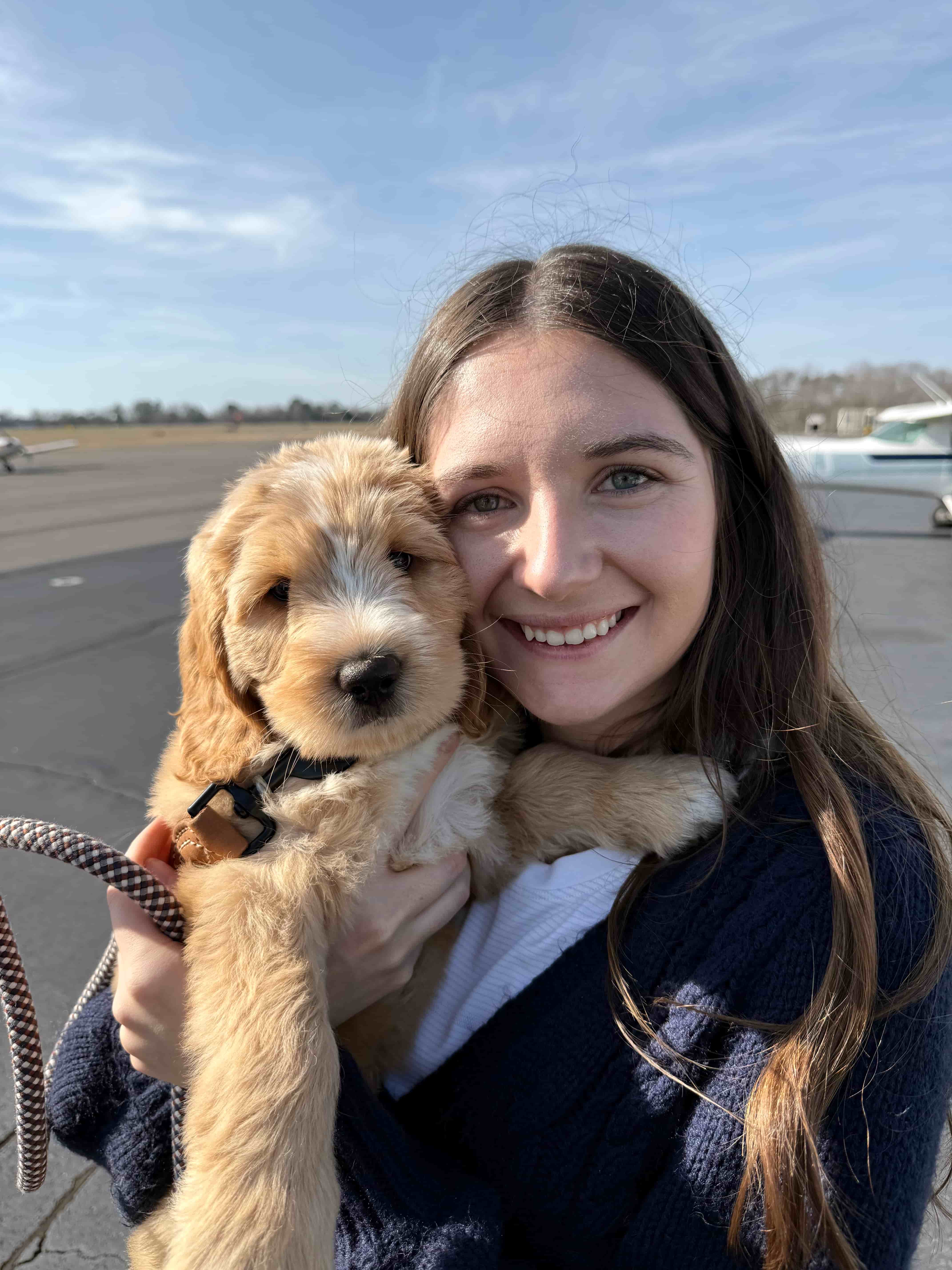 Labradoodle puppy sleeping