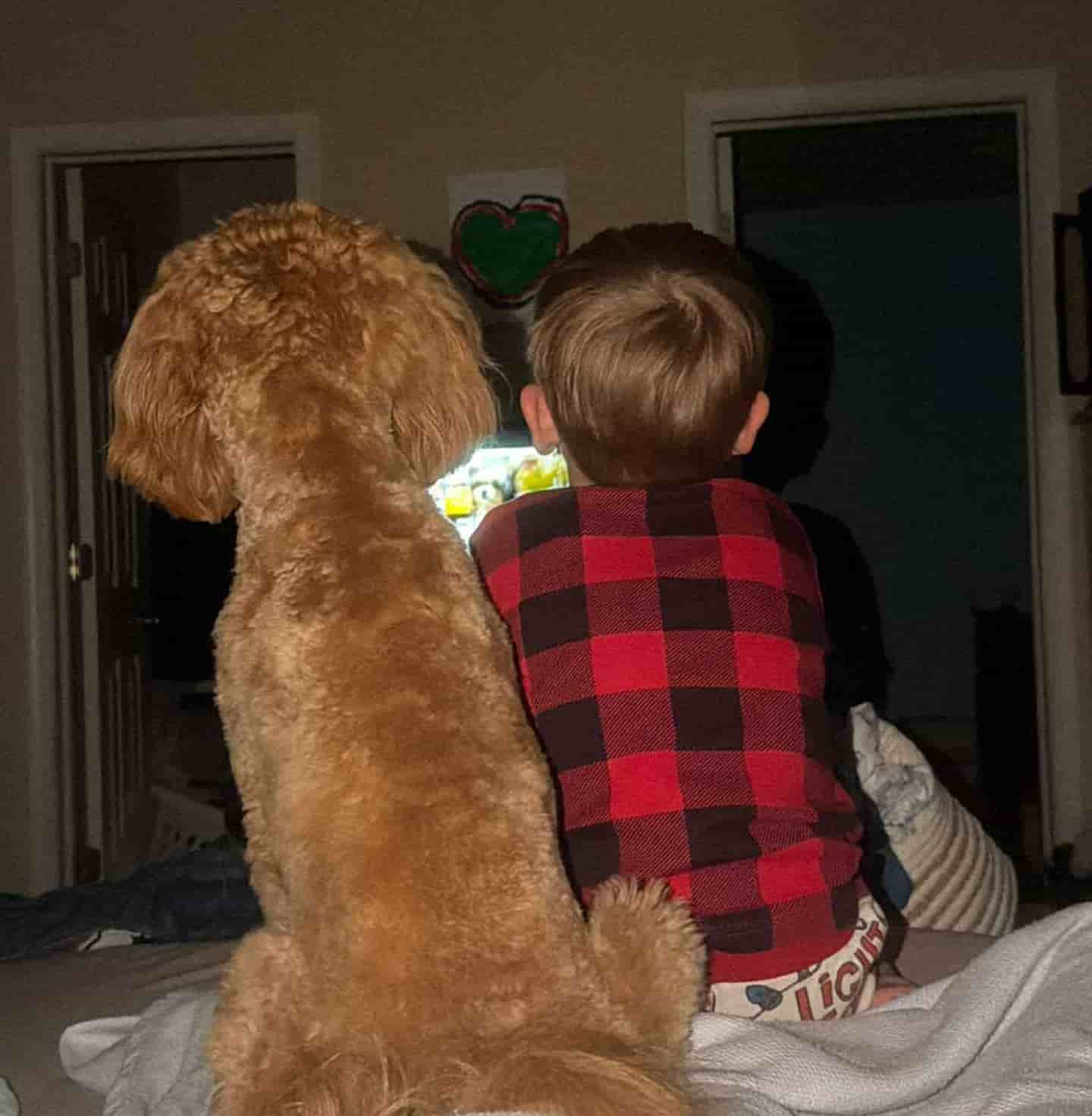 Kids playing with puppy
