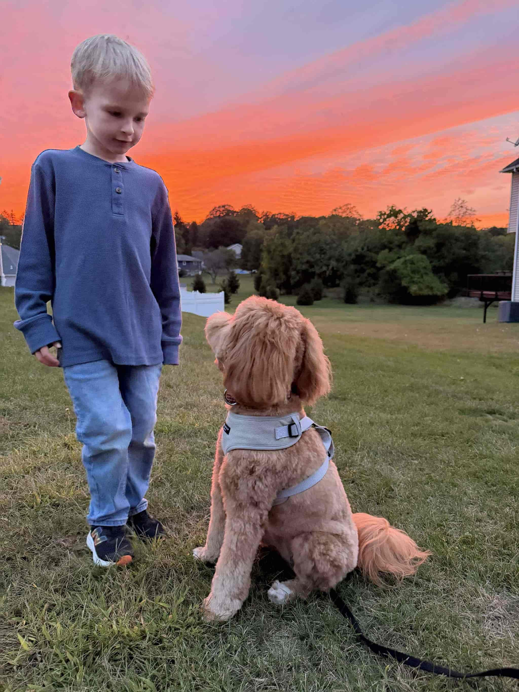 Kids playing with puppy