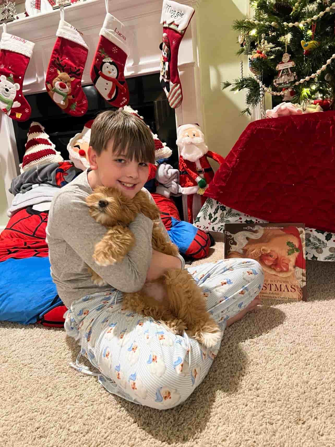 Kids playing with puppy