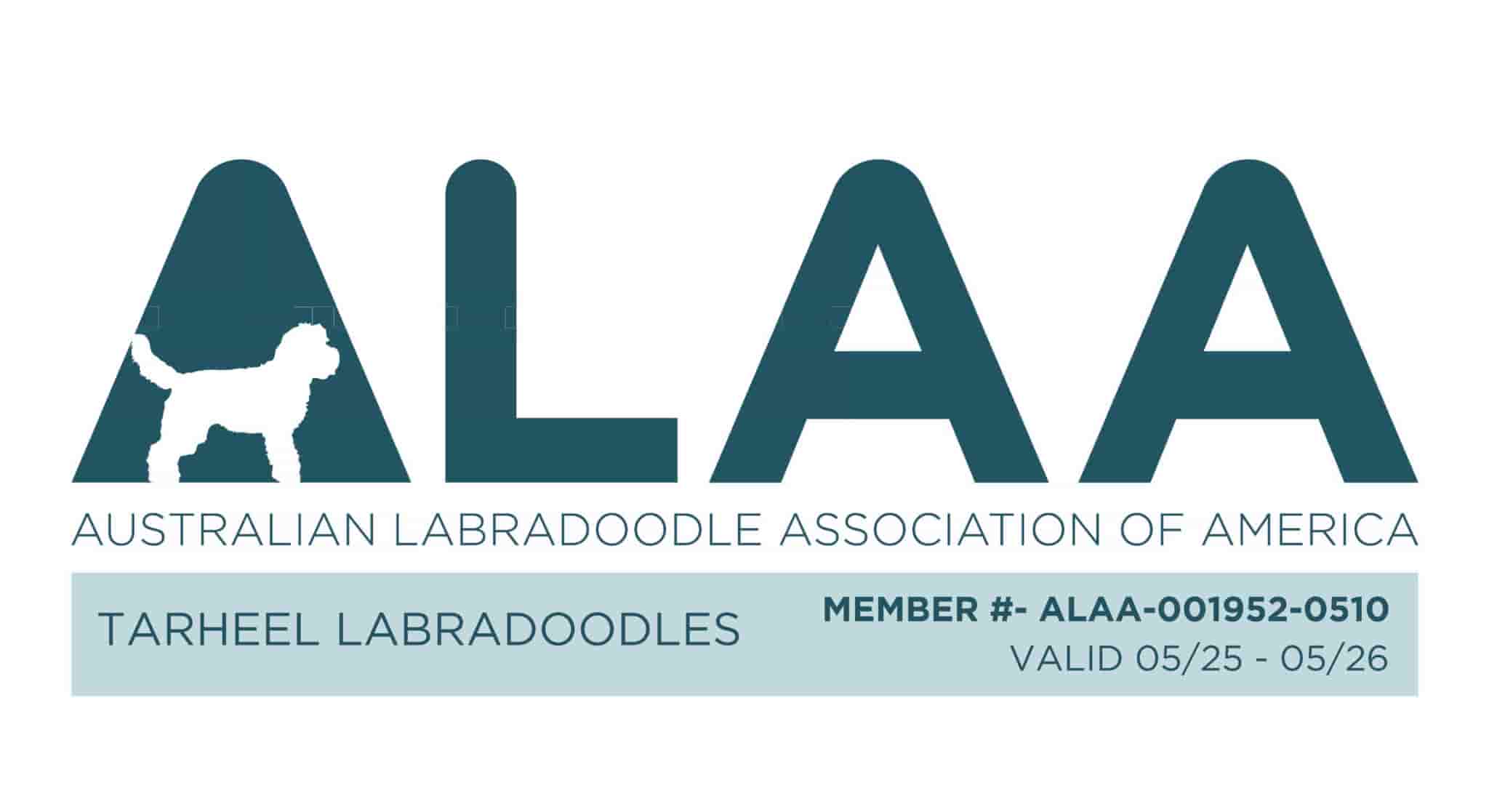 ALAA Member & President Logo