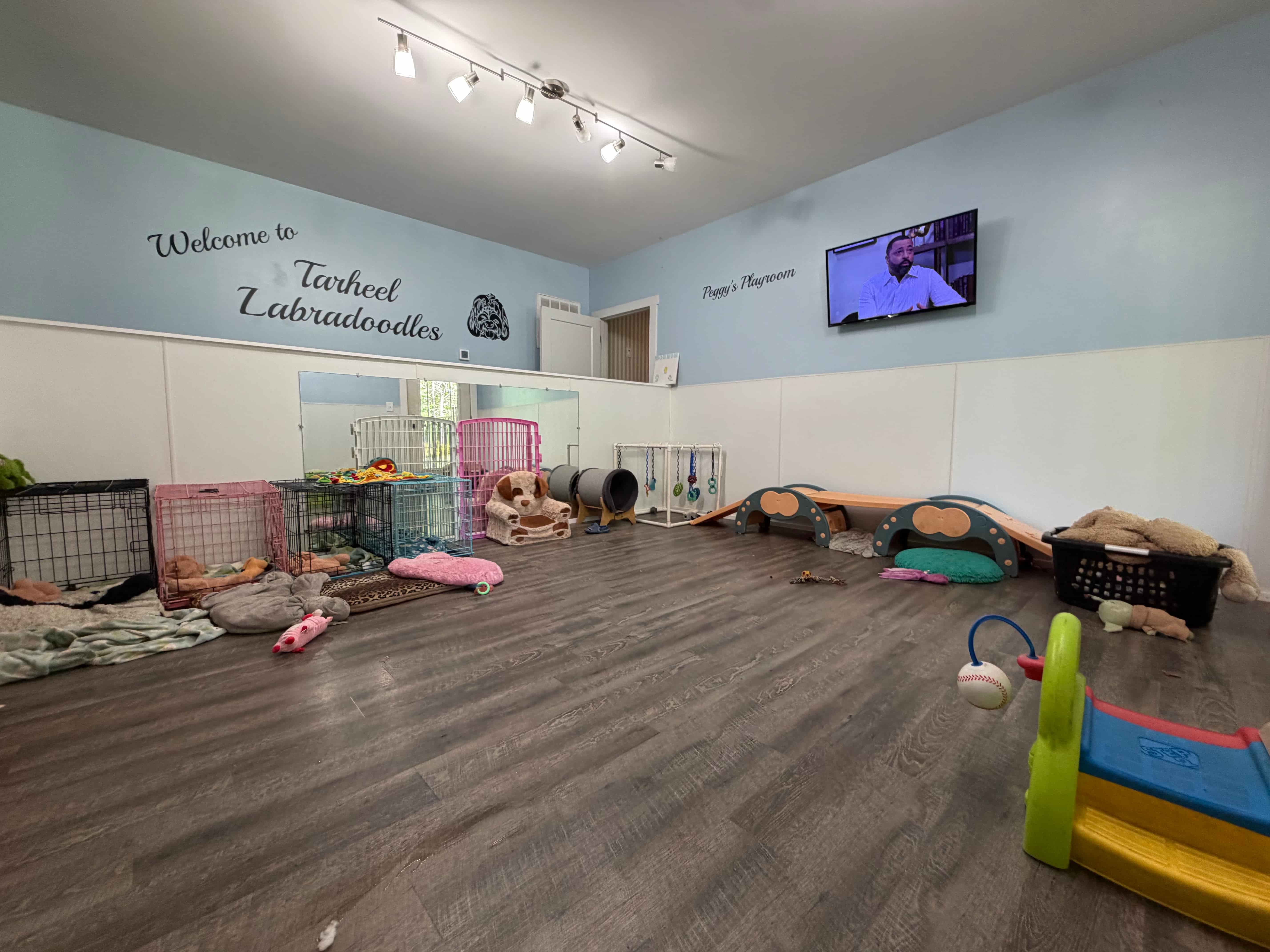 The Toddler Room