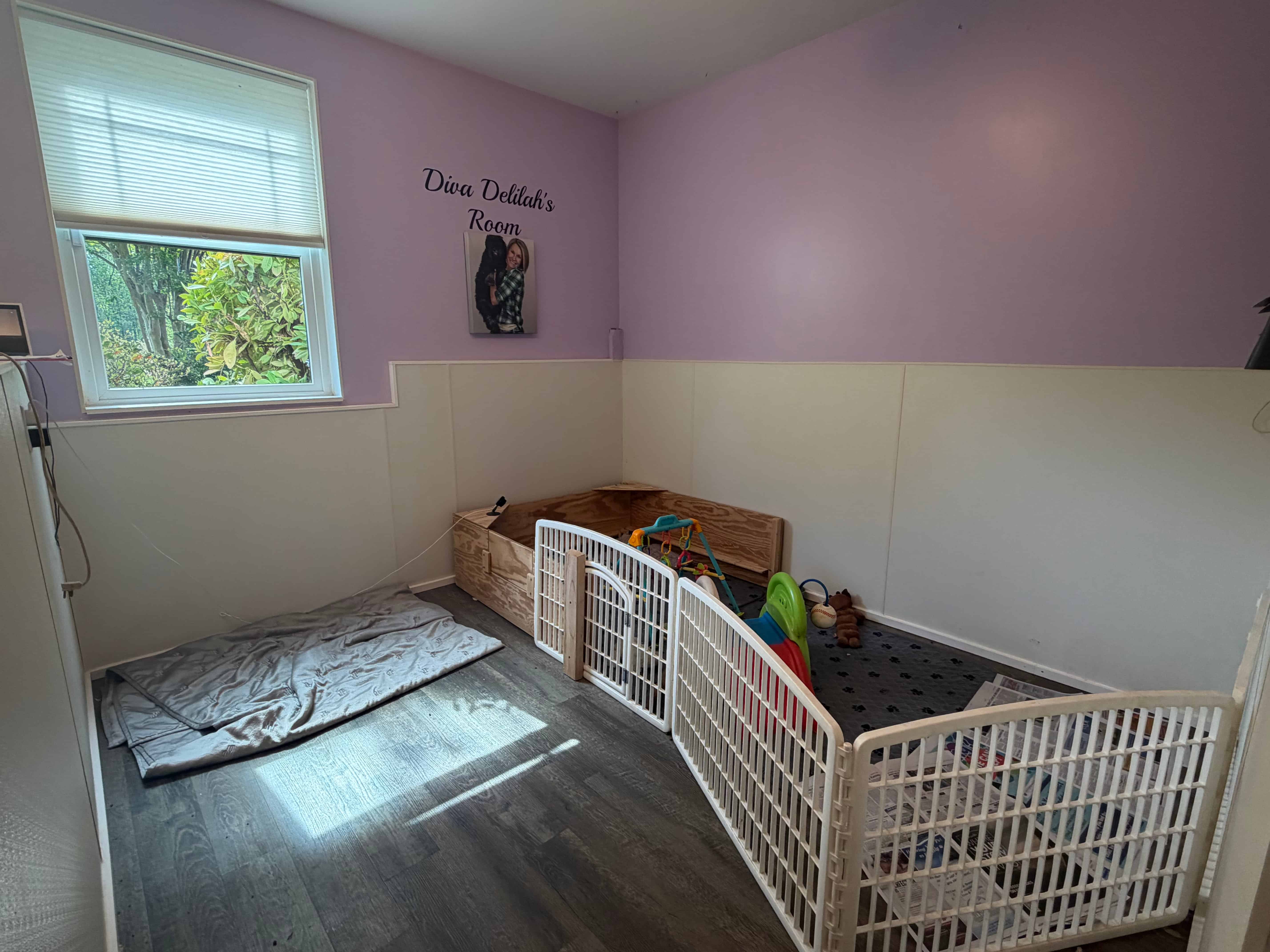 Behind the Whelping Box: The First 8 Weeks of a Tarheel Labradoodle